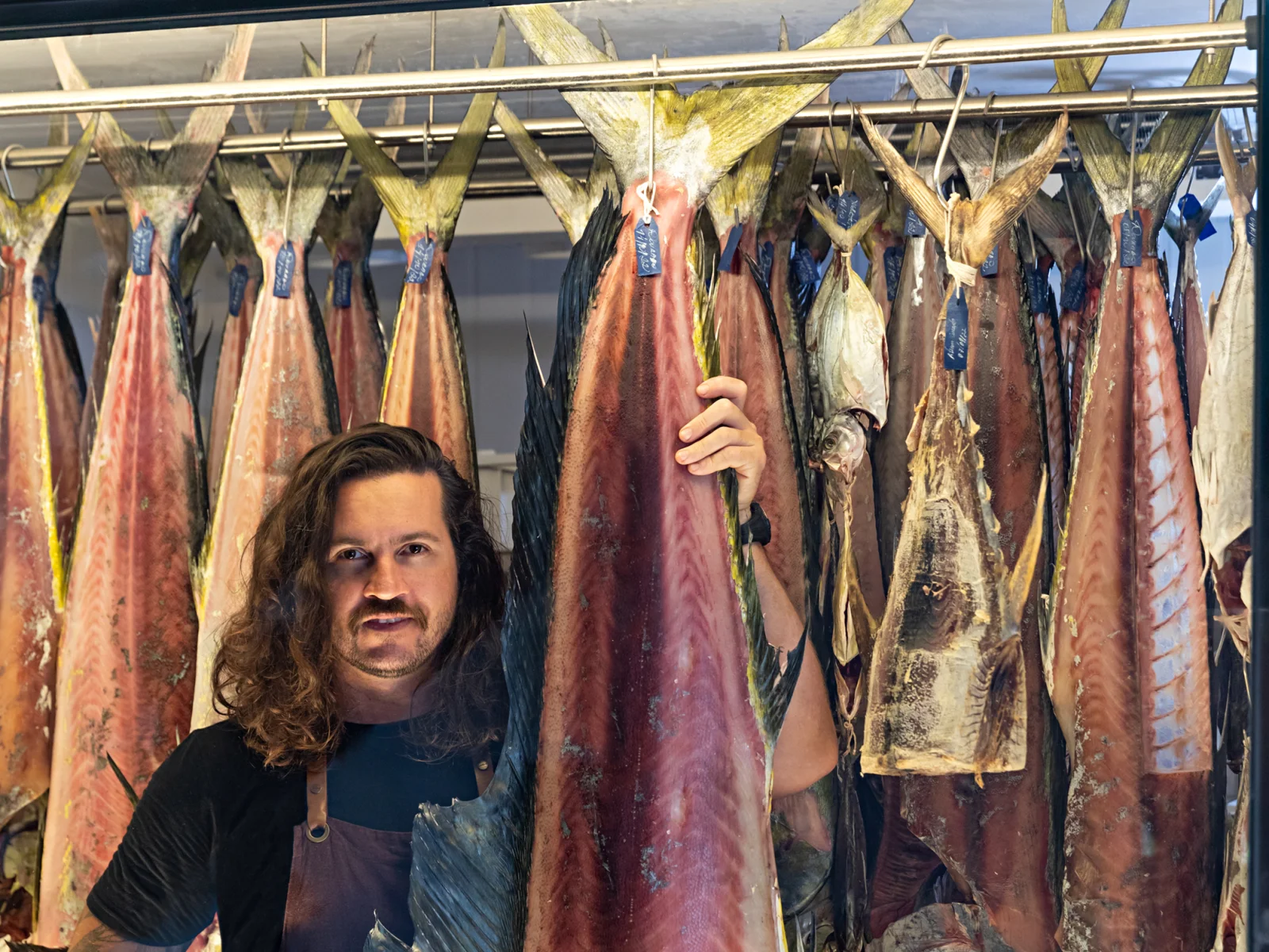 Gerônimo Athuel na câmara de maturação do Ocyá, cercado de peixes maturados pendurados.